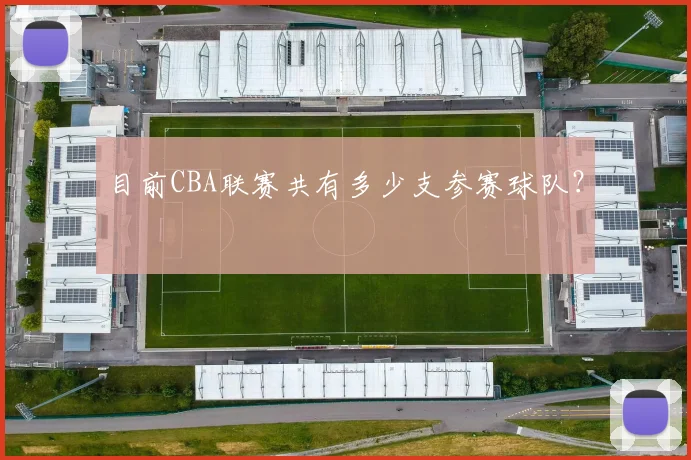 目前CBA联赛共有多少支参赛球队？
