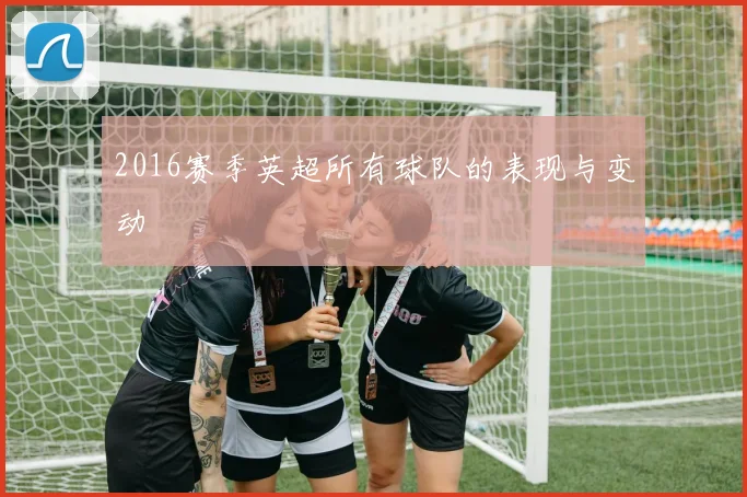 2016赛季英超所有球队的表现与变动