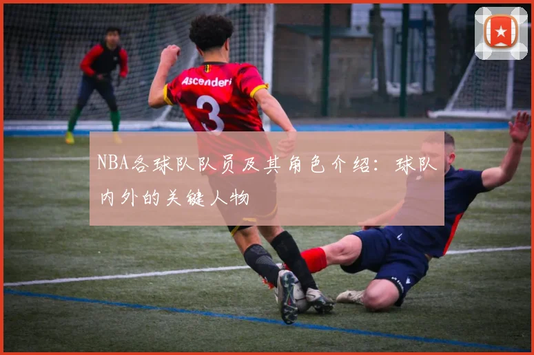 NBA各球队队员及其角色介绍：球队内外的关键人物