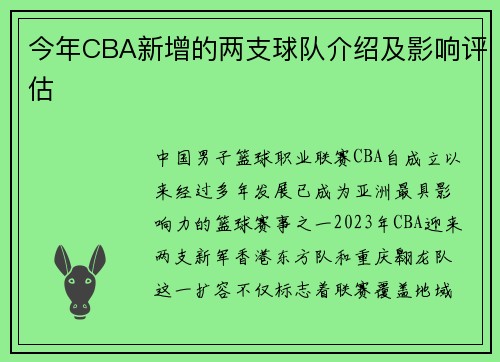 今年CBA新增的两支球队介绍及影响评估